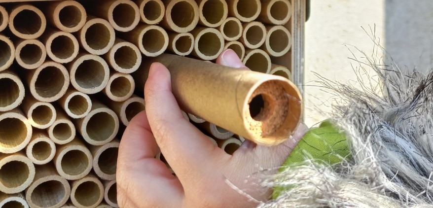 Installer les abeilles maçonnes, c'est facile !