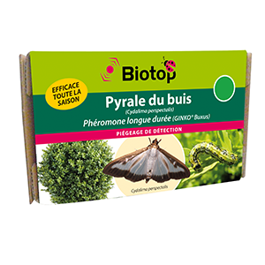 Phéromones anti-pyrale du buis